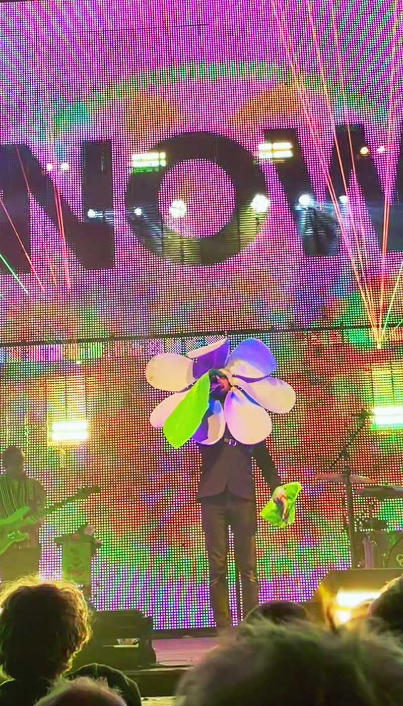 Die Blume Wayne