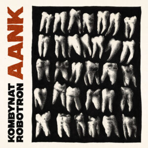 Kombynat Robotron, AANK