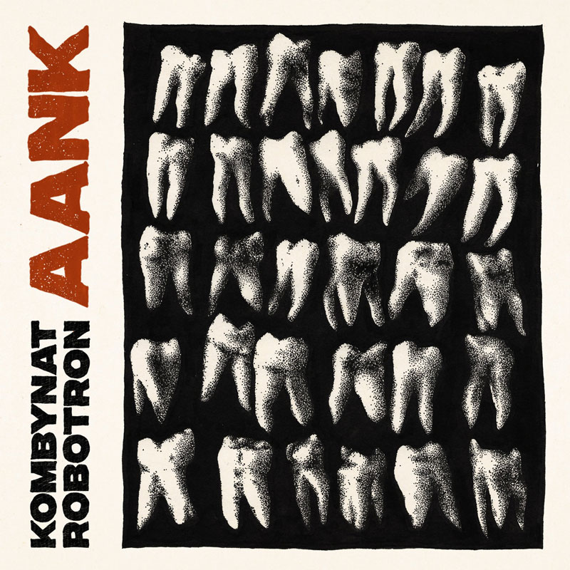 Kombynat Robotron, AANK