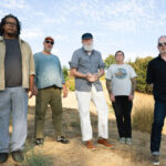 Tortoise © International Anthem