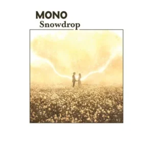 MONO