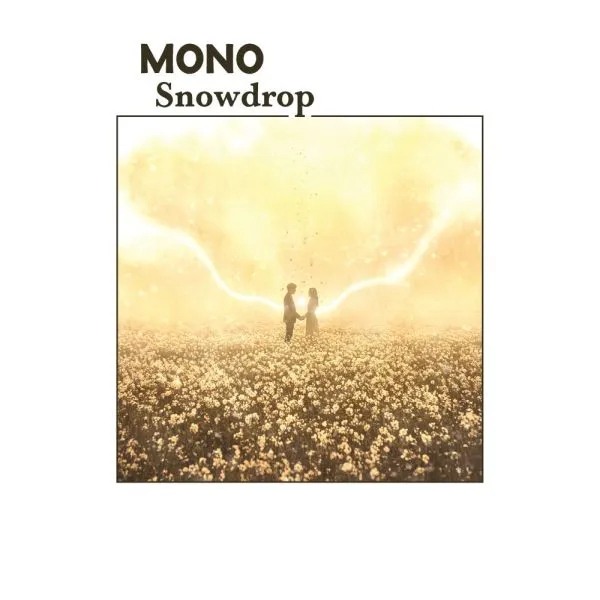 MONO. Snowdrop